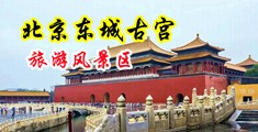 美女光屁股逼粉嫩中国北京-东城古宫旅游风景区